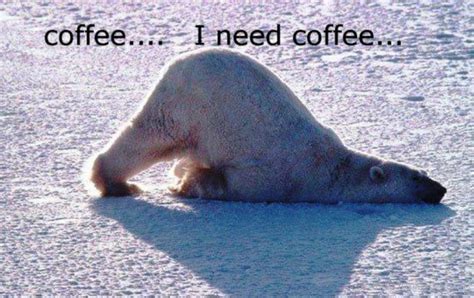 Funny Coffee Quotes I Need Coffee