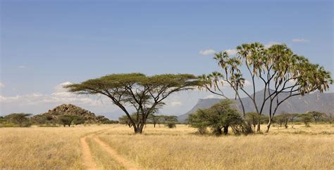 Kenya Landscape Map