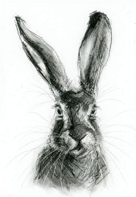Original Artwork A4 Charcoal Drawing Of A Hare By Animal Etsy