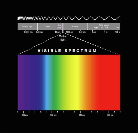 Electromagnetic Spectrum And Visible Light Digital Art By Peter Hermes