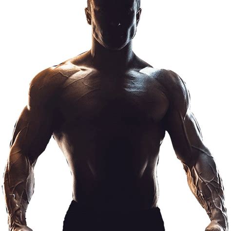 Fitnest Online Workout | Bodybuilding photography, Fitness ...