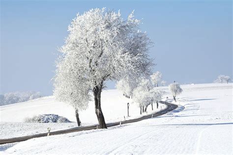 Winterliche Bäume Foto And Bild Jahreszeiten Winter Wald Und Flur