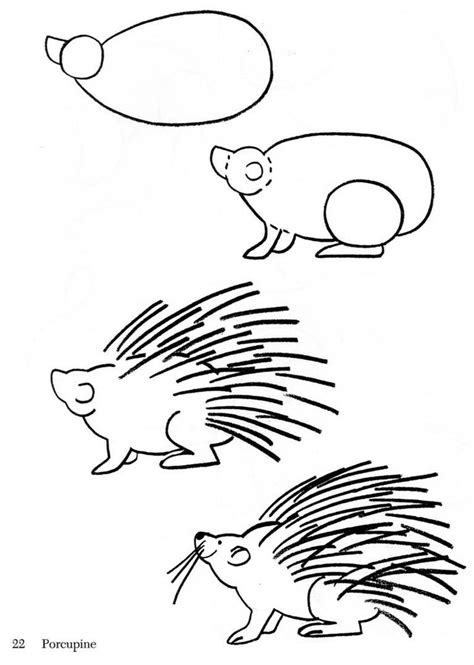 How To Draw Animals clipart | Animal drawings, Baby animal drawings