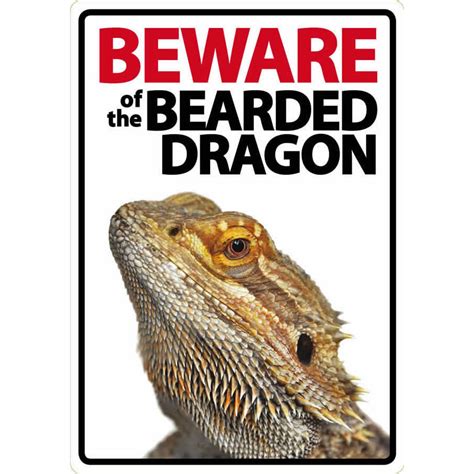 The Tortoise Den Beware Of The Bearded Dragon Sign Currently