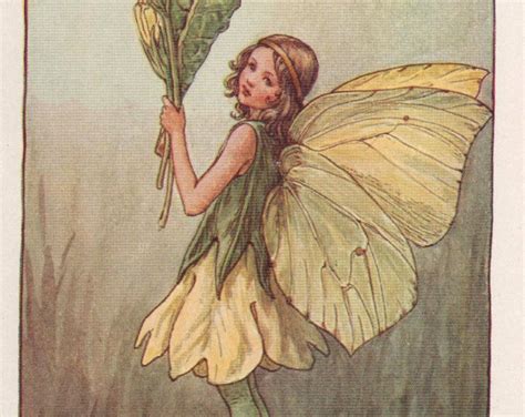 Flower Fairies The Primrose Fairy Vintage Print C1930 By Cicely Mary