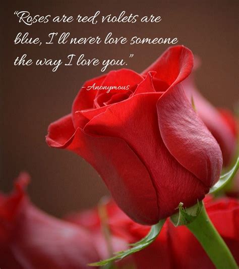 35 Romantic Rose Quotes And Sayings To Show You Care Rose Flower