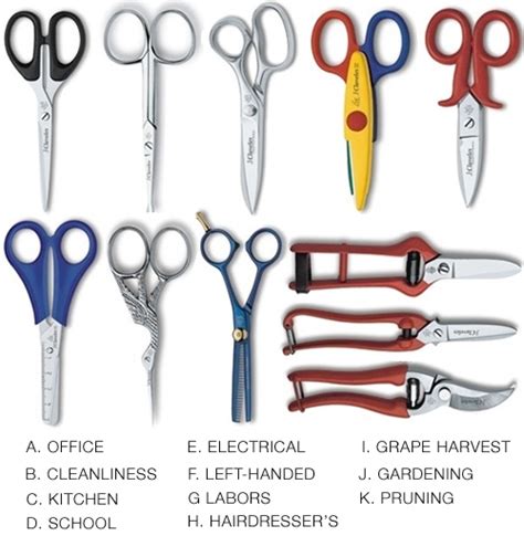 The best hair cutting scissors should be precise, sturdy and comfortable. different-types-of-scissors - Shoplet Blog