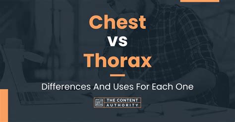 Chest Vs Thorax Differences And Uses For Each One