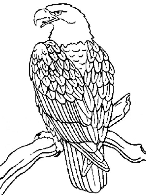 Color in this picture of an american eagle and others with our library of online coloring pages. Eagle coloring page - Eagle free printable coloring pages ...