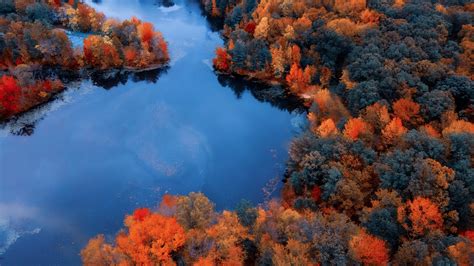 Aerial View Of Forest And River 4k Hd Nature Wallpapers Hd Wallpapers
