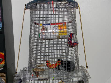 Homemade Rat Cage Top By Gizmo The Freaky On Deviantart