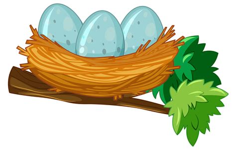 Bird Nest With Egg Clipart Illustration Of A Bird Nest With Egg The