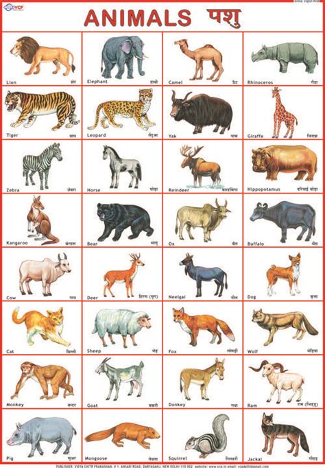 This chart marks the trend of gross state domestic product of sikkim at market prices estimated by the ministry of statistics and programme implementation with figures in millions of indian rupees.13. Animals | Hindi language learning, Preschool charts, Hindi ...