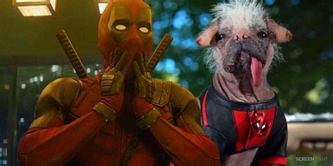 First Official Deadpool 3 Photo Released In 5 Months Reveals Ryan Reynolds Wade Wilson With