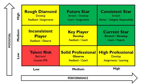 The 9 Box Talent Assessment Grid Is Used To Identify Where Employees
