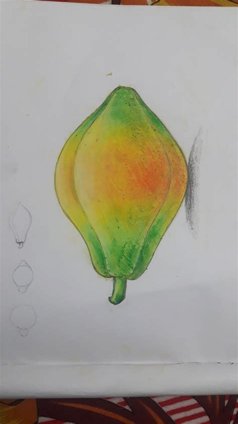 Papaya drawing (oils pastel) | Oil pastel, Oil pastel drawings easy, Oil pastel paintings