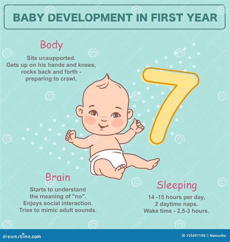 Pouco Bebê Recém Nascido De 7 Meses Infographics Do Desenvolvimento
