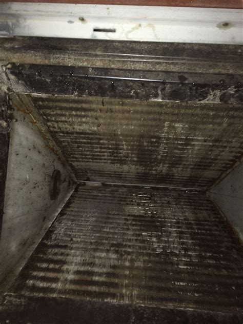 Is Your Air Conditioner Making You Sick Dangers Of Moldy Coils