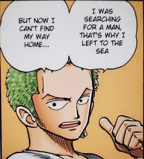 Every Moment Zoro Gets Lost In The Manga Ronepiece