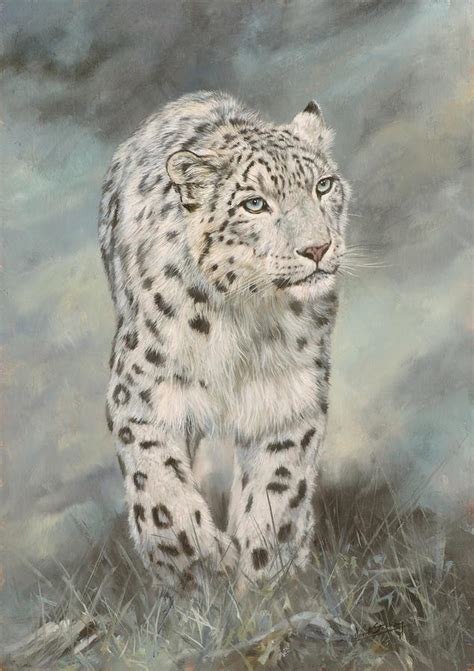Snow Leopard 5 Painting By David Stribbling Pixels