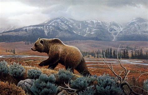 Jerry Gadamus Yellowstone Mist Grizzly Bear Paintings Animals Wild