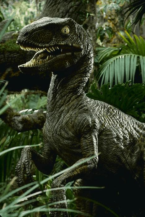 Plusieurs parasaurolophus galopent lors de la scène du safari. Velociraptor "antirrhopus" (*) (S/F) / (S/F-T/G) (S/F-S ...