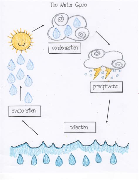 Water Cycle Printable Printable Word Searches