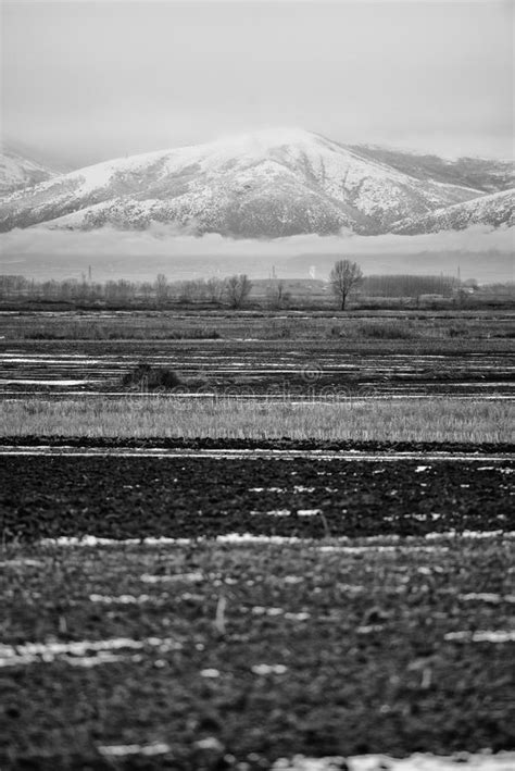 Winter Scenery Stock Image Image Of Lonely Farmland 91279441