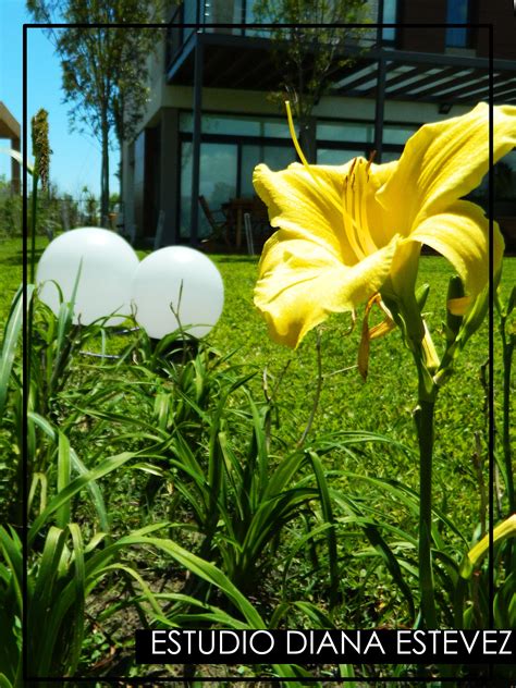 We did not find results for: - The last flowers of summer, taking advantage of the warm ...