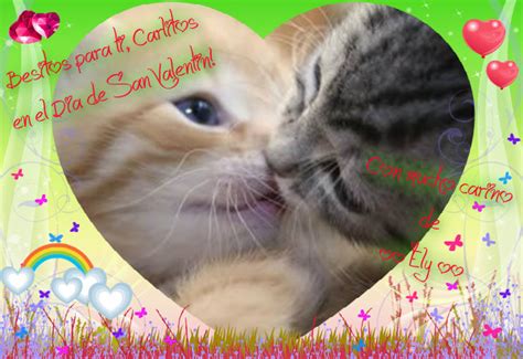 Kitty Kisses Cute Kittens Fan Art 33626475 Fanpop