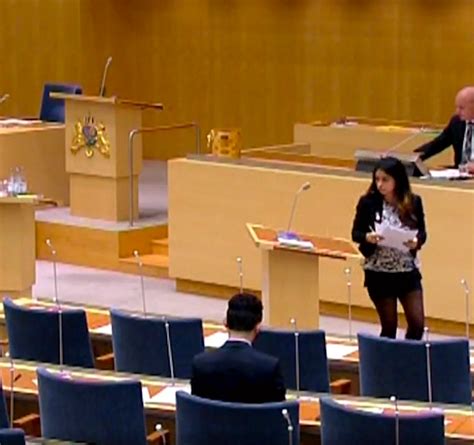 Hon säger att han tog upp klädseln med alla gruppledare i riksdagen. Nooshi Dadgostar: Björn Söder gjorde en stor fråga av min ...