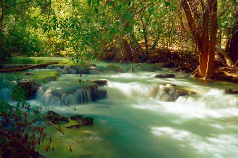 Garden of Eden | Garden of Eden you can camp in... if you ma… | Flickr