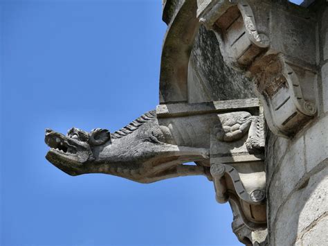 Gargoyles And The Bestiary Of Ancient Rooftop Animals Ia Interior