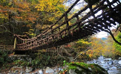 Vine Bridges In The Iya Valley ｜ Tokushima Tourism｜discover Tokushima