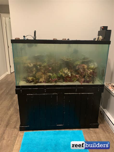 Our Biggest Aquarium Project Yet Moving A 90 Gallon Saltwater Aquarium