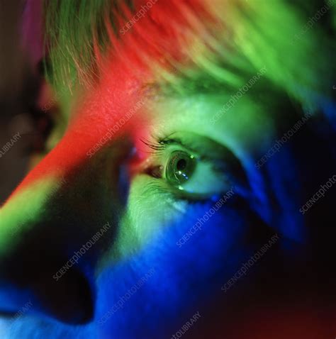 Colour Vision Stock Image P4200520 Science Photo Library