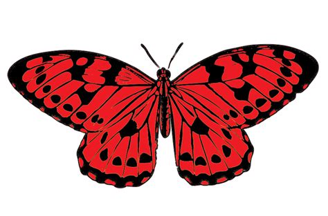 Collection Of Red And Black Butterfly Png Pluspng