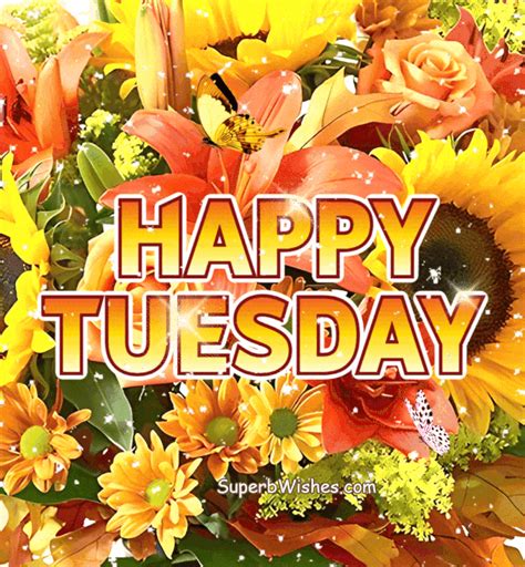 Happy Tuesday S Beautiful Tuesday S Superbwishes