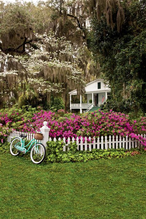 Easy Growing Flowers For Fences Southern Living