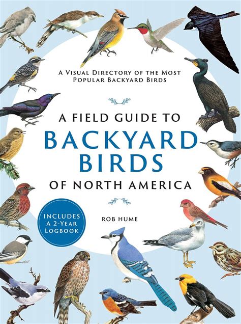 A Field Guide To Backyard Birds Of North America A Visual Directory Of The Most Popular