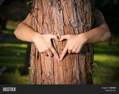 Tree Lover Image And Photo Free Trial Bigstock