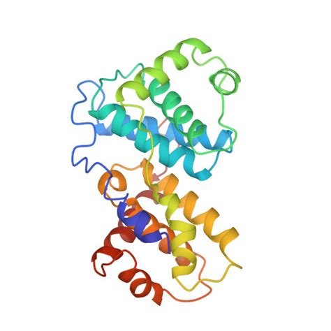 Rcsb Pdb Bu X Ray Structure Of A Viral Cyclin From Herpesvirus Saimiri