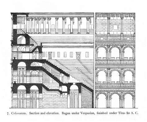 Colosseum Cross Section Illustration Ancient History Encyclopedia