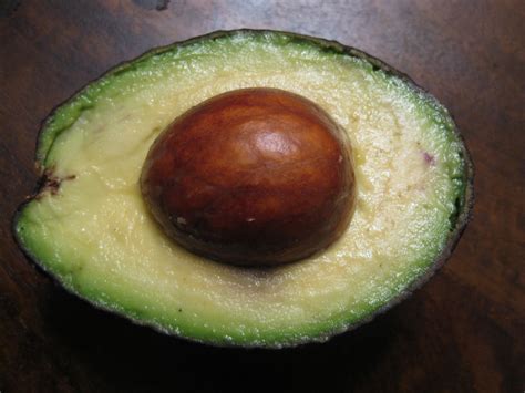 After Reading This You Will Eat Avocado Seeds Everyday