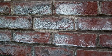 What Causes White Marks On Brick Work Letsfixit