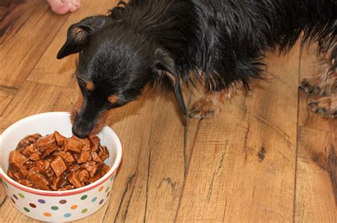 Sold by iowa worm composting and ships from amazon fulfillment. ALPO® Wet Dog Food Makes the Tail Wag - Clever Housewife