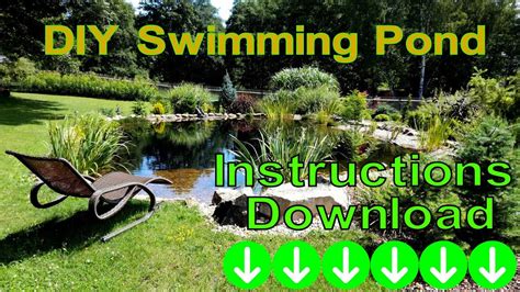 DIY Swimming Pond YouTube