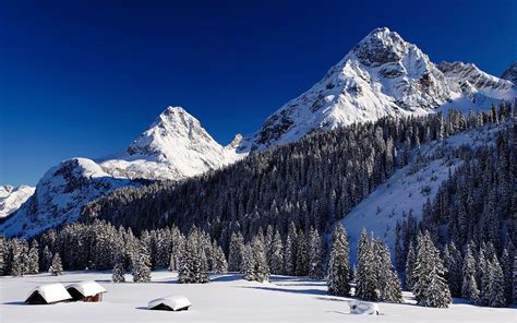 배경 화면 나무 자연 눈 의지 알프스 산맥 스키 타기 산등성이 날씨 시즌 대산 괴 Piste