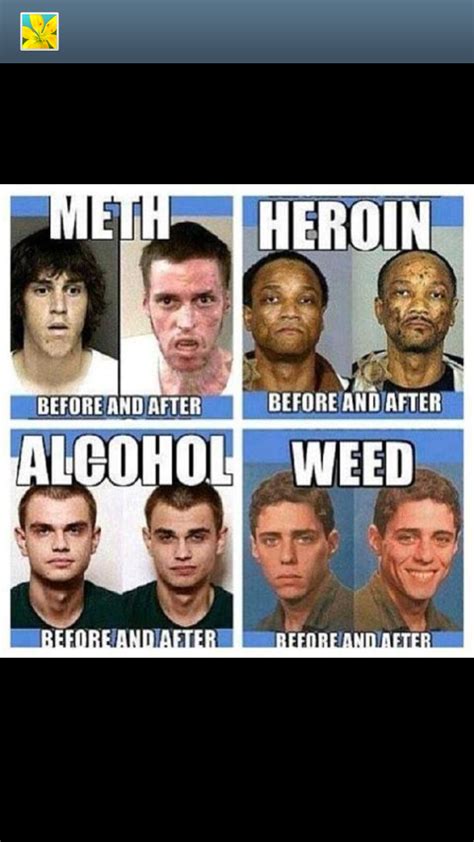 See more ideas about alcohol memes, memes, funny. Before and after for meth, heroin, alcohol, and weed : funny