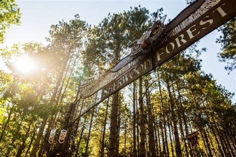 Electric Forest In Rothbury Michigan On June 29 July 2 2017